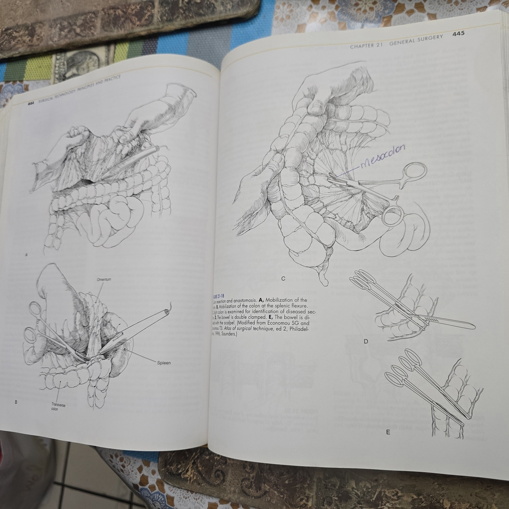 Surgical Technology Principles and Practice Fourth Edition - Picture 7 of 8